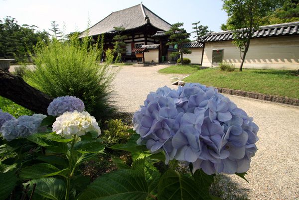 法華寺