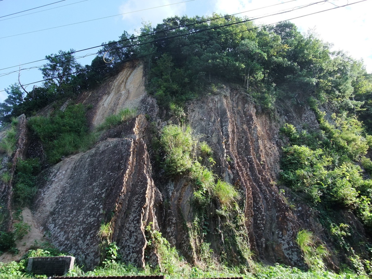 宍喰浦の化石漣痕