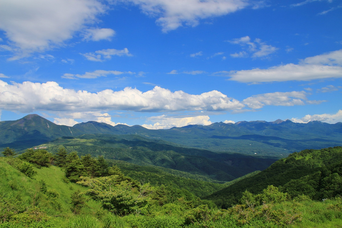 八ヶ岳高原ライン