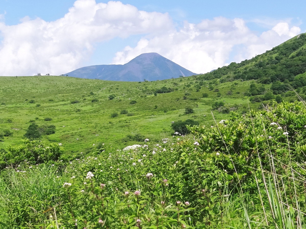 霧ヶ峰高原