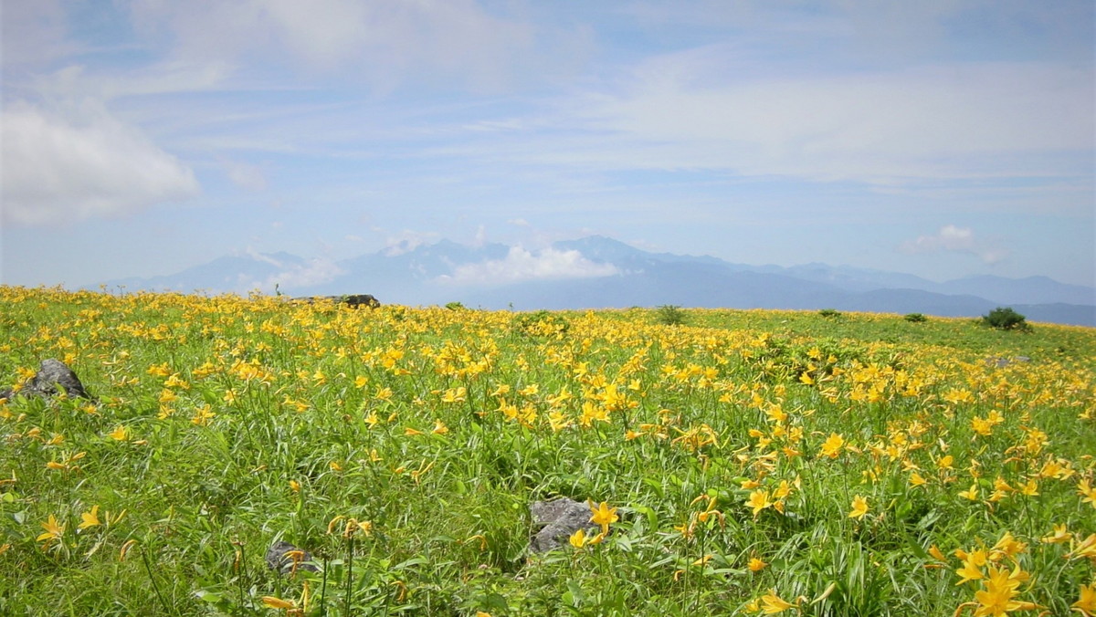 霧ヶ峰高原