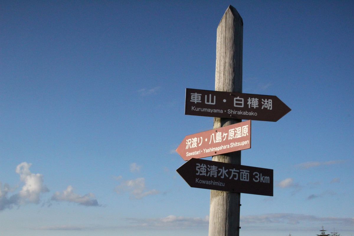 八島ヶ原湿原