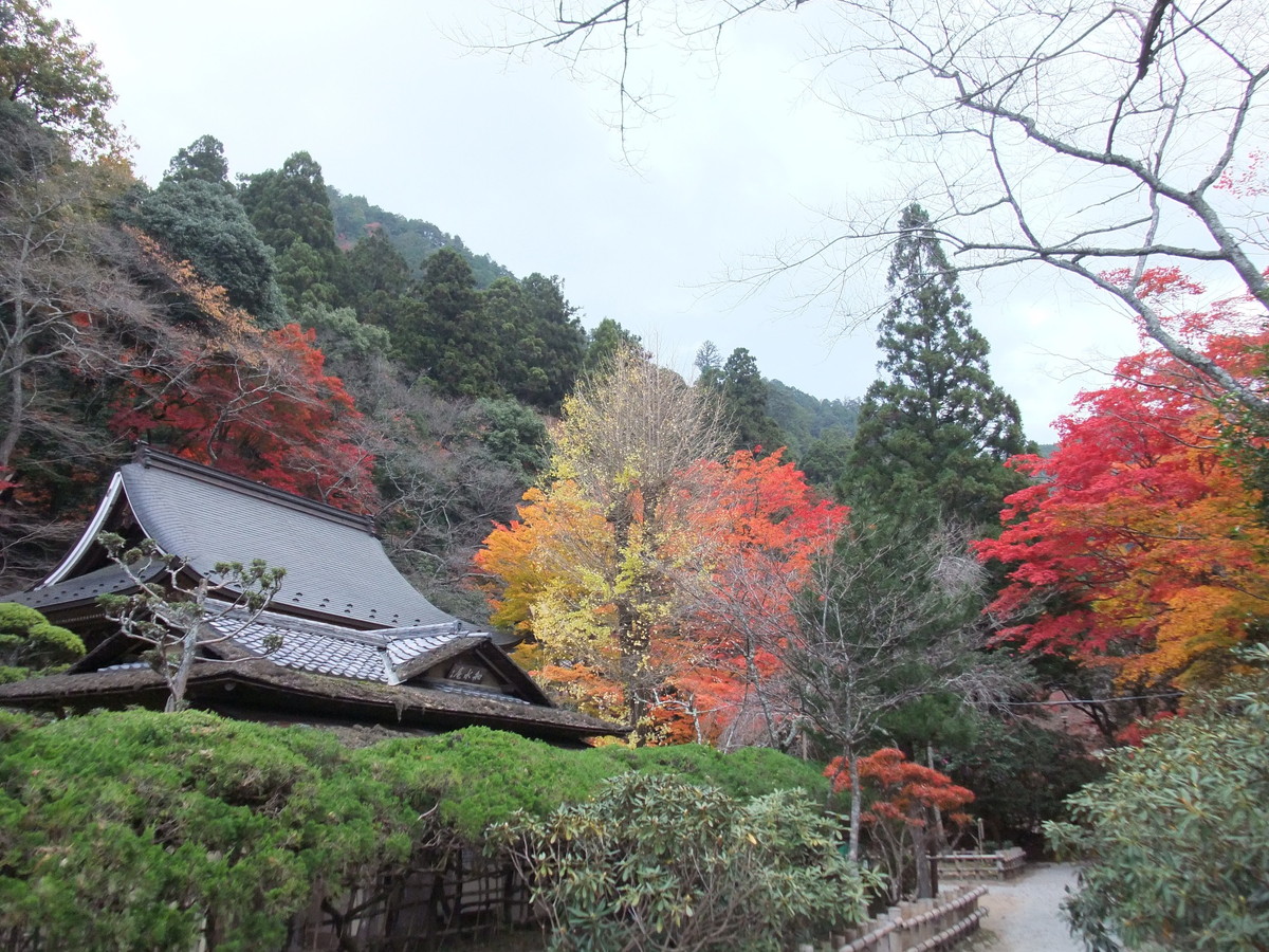 室生寺