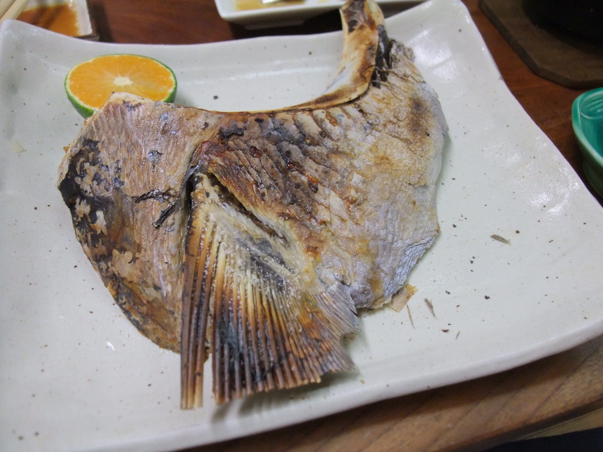 桂城・まぐろ料理