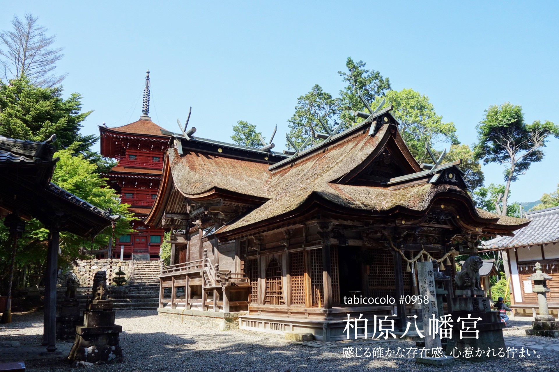 柏原八幡宮