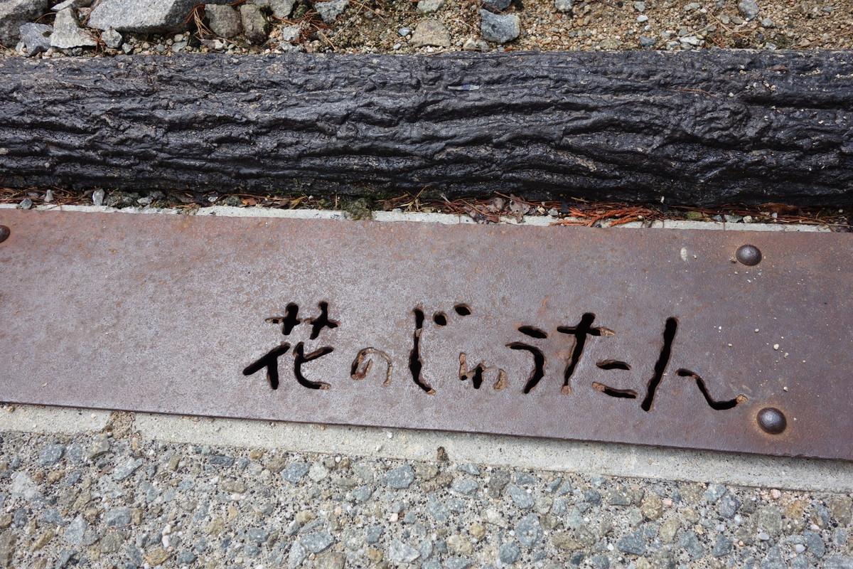 花のじゅうたん