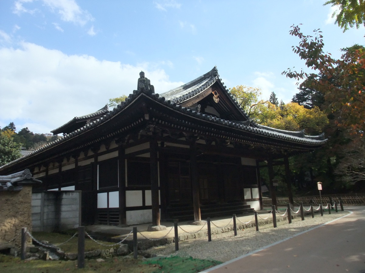 東大寺・大仏蛍