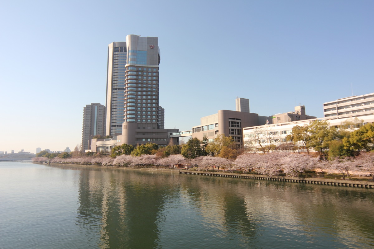 大川さくらクルーズ