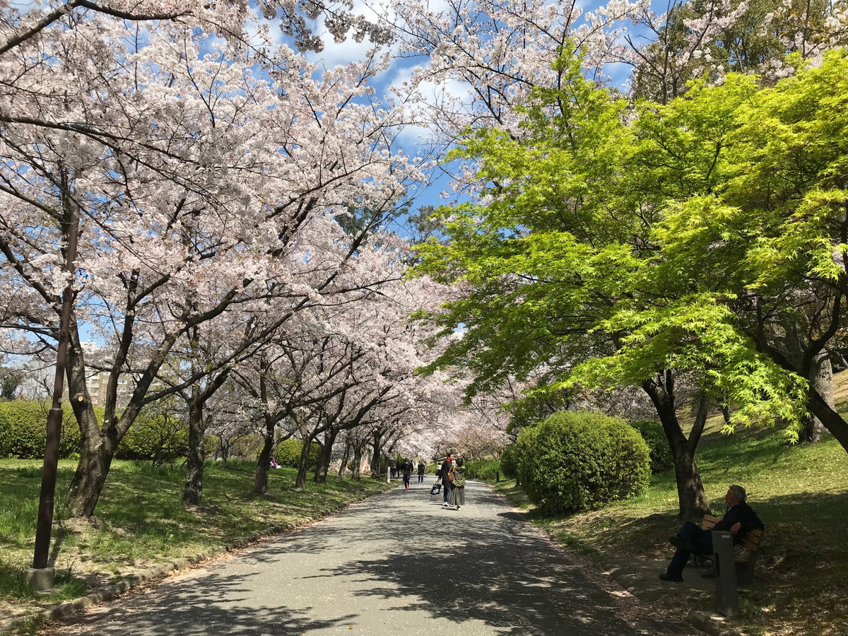 千里南公園