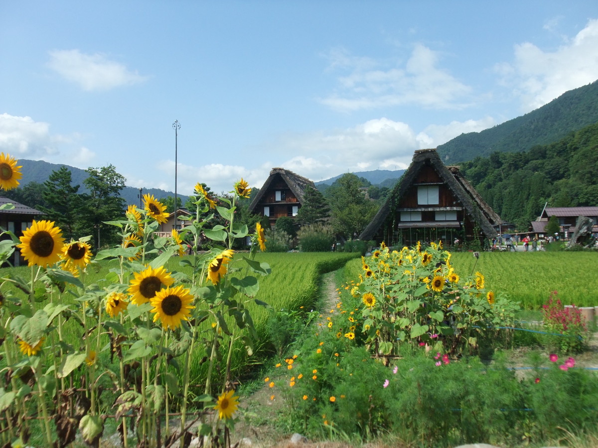 白川郷