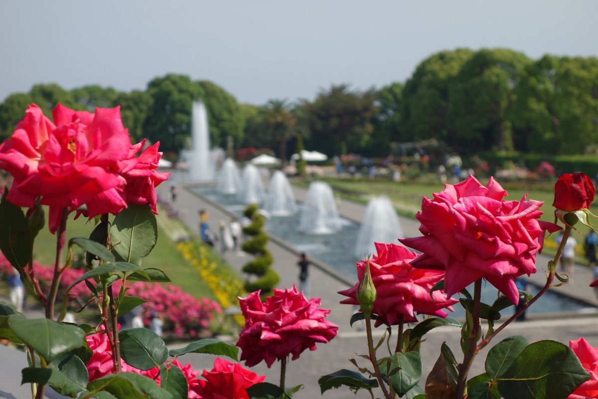 須磨離宮公園