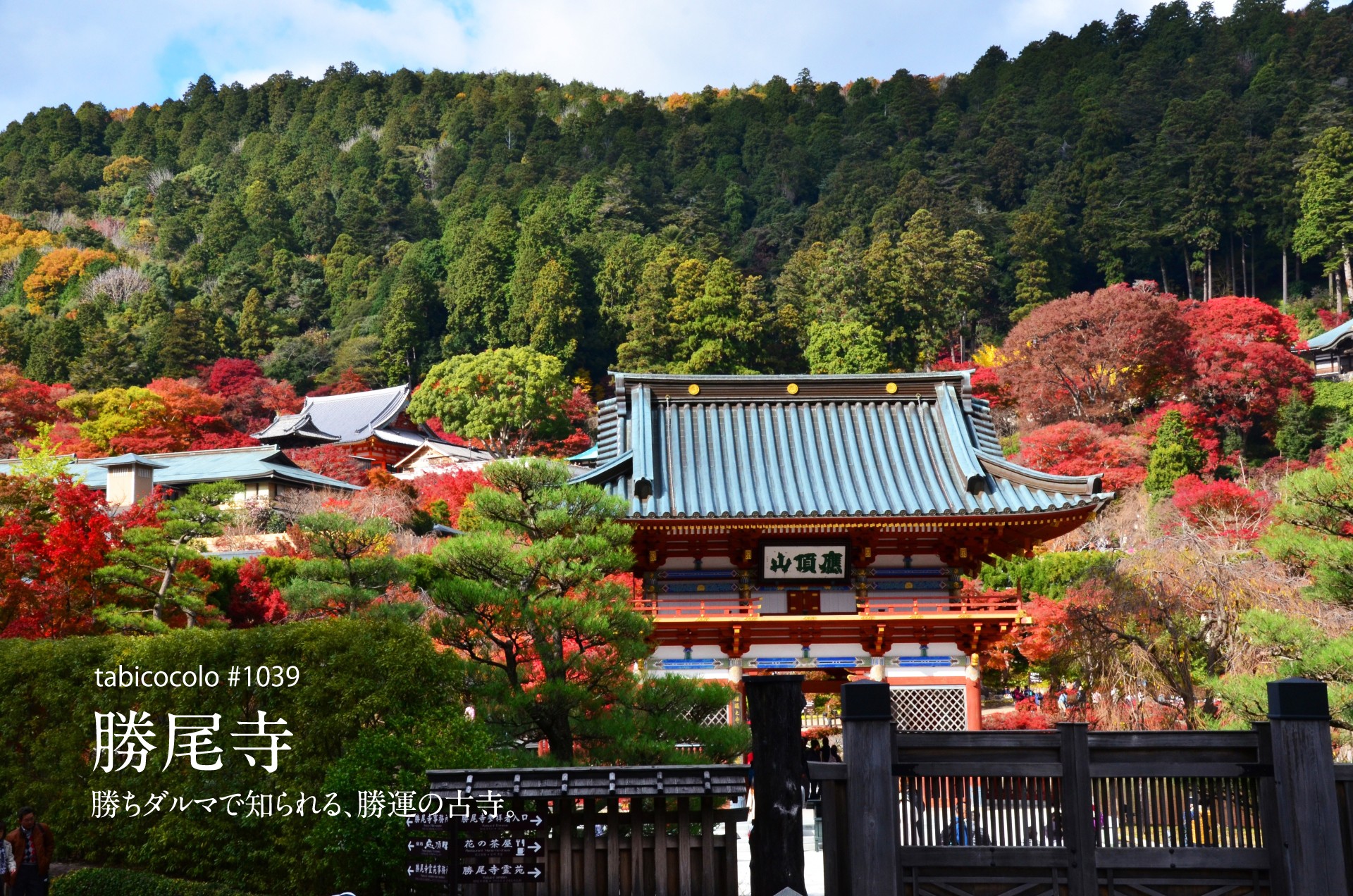 勝尾寺