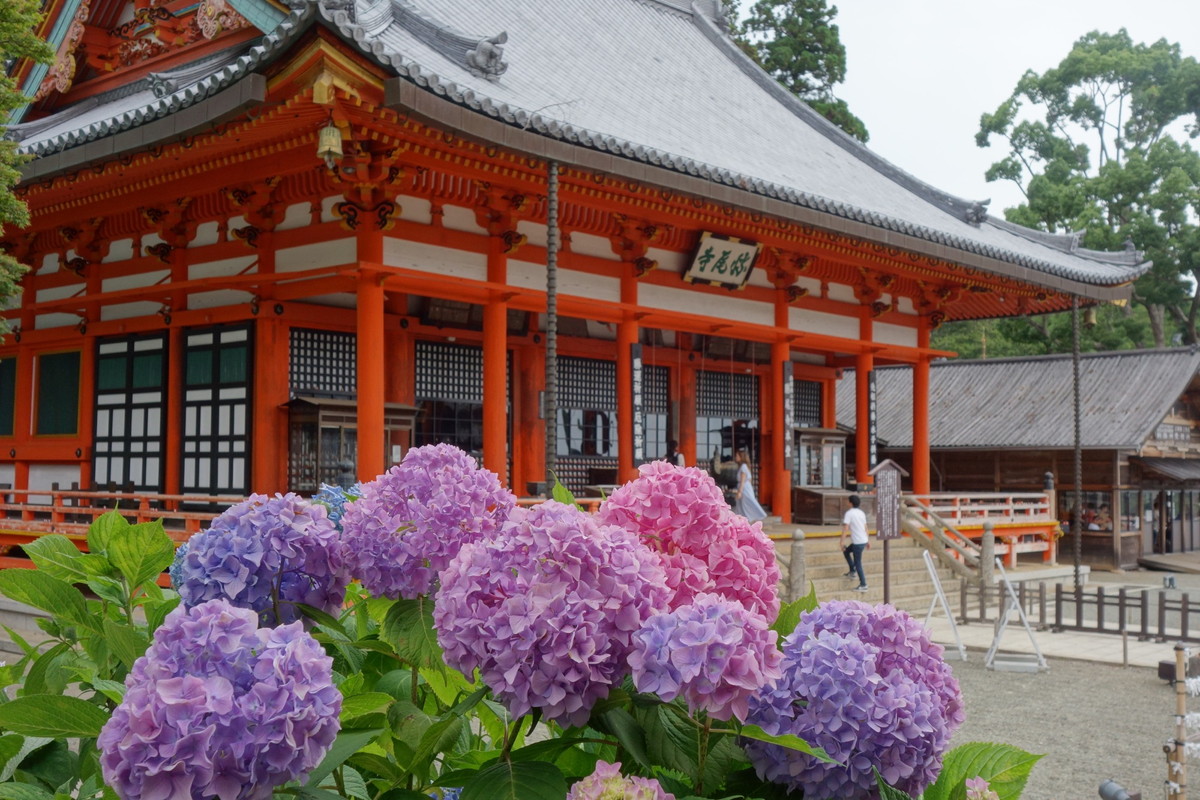 勝尾寺