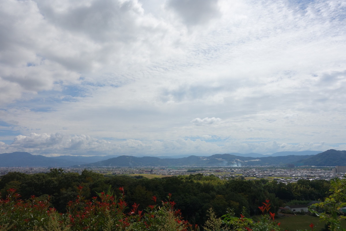 紀ノ川サービスエリア