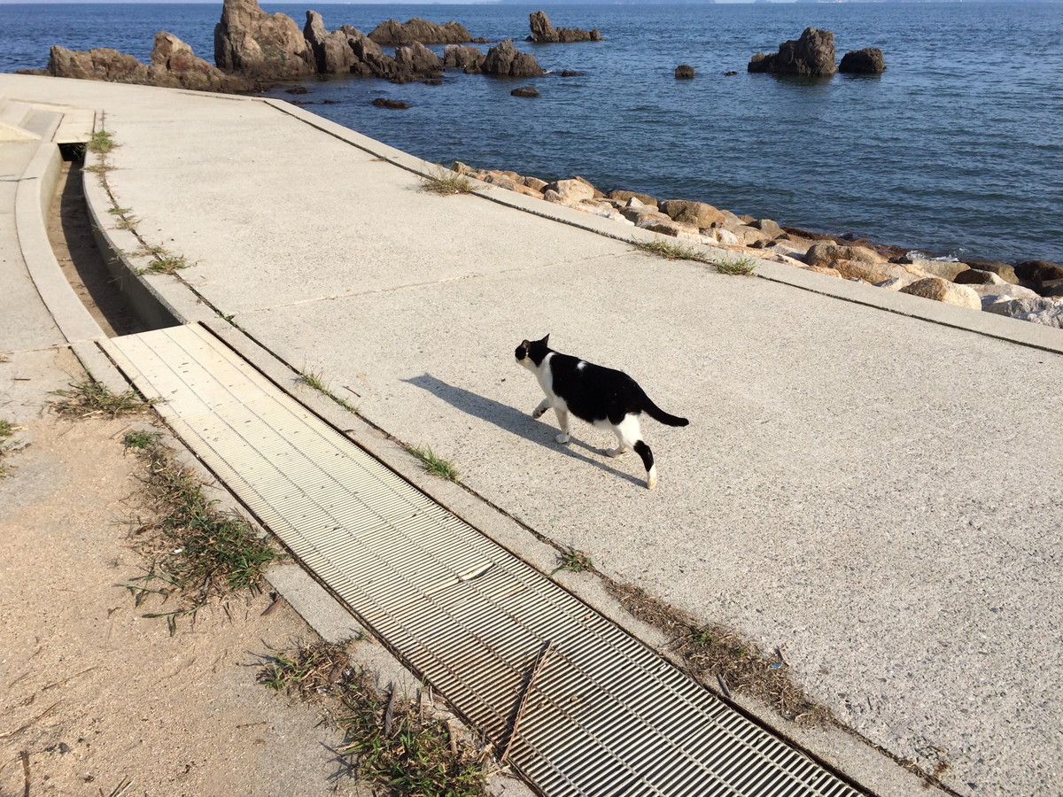 福浦海岸・大塚海岸