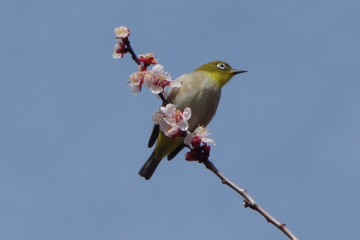 石ケ谷公園