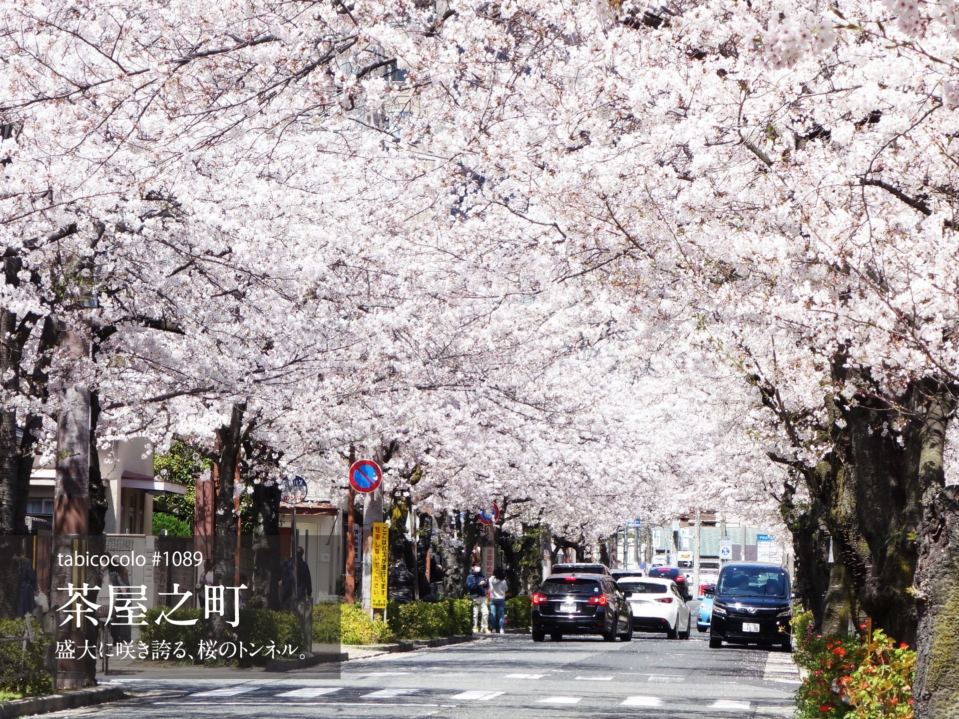 茶屋之町