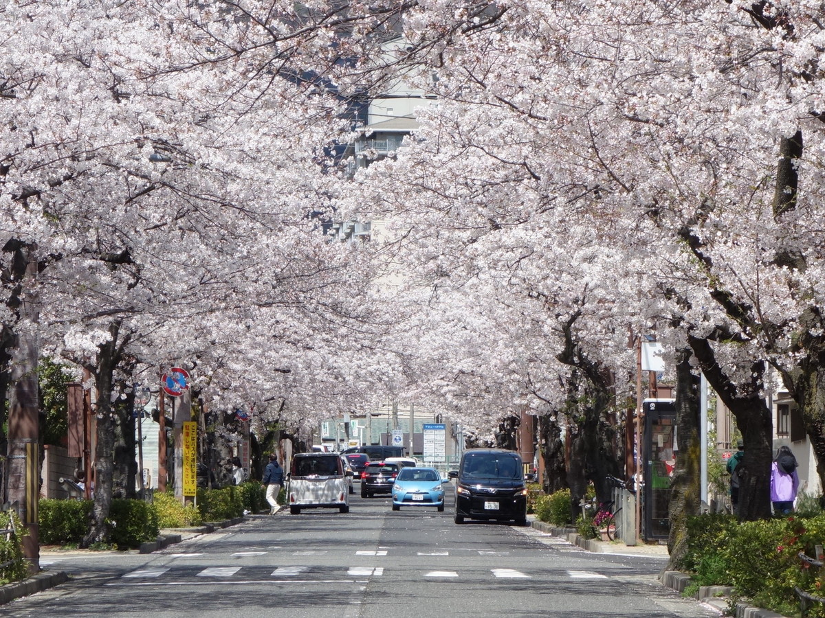 茶屋之町