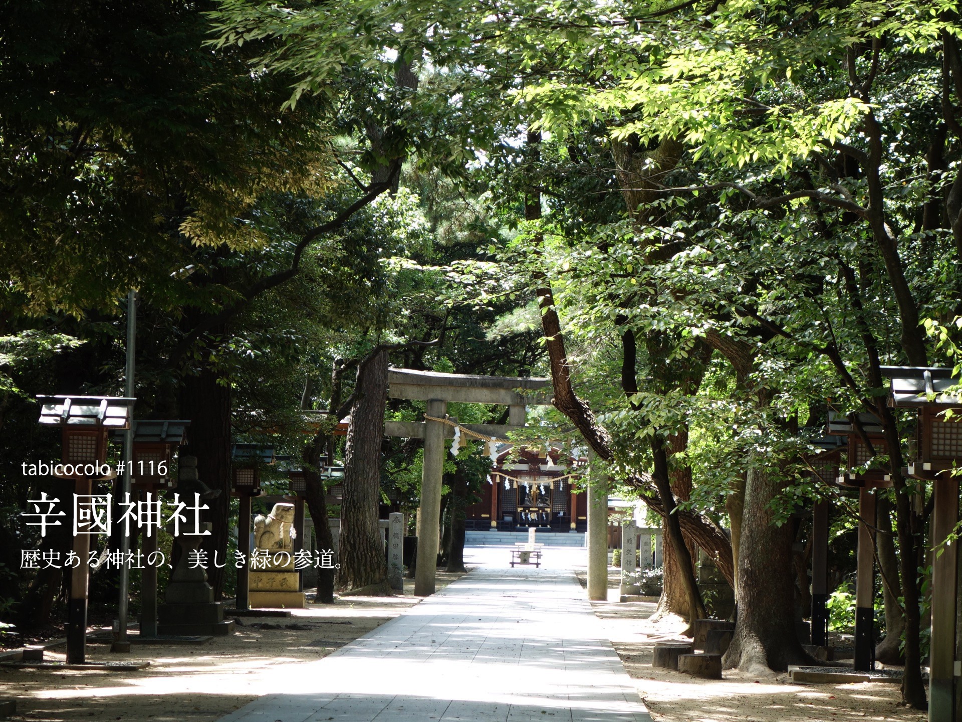 辛國神社