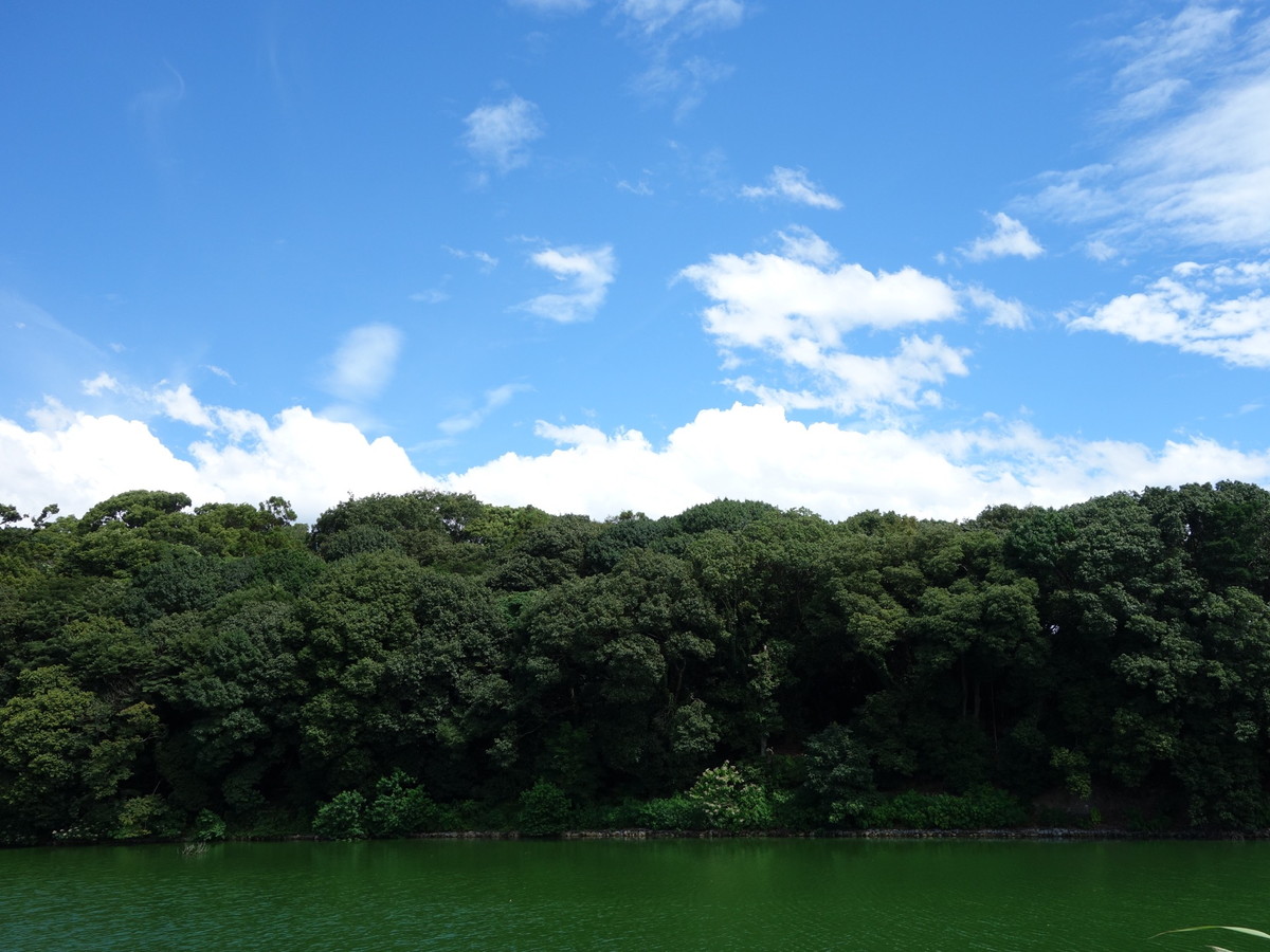 岡ミサンザイ古墳