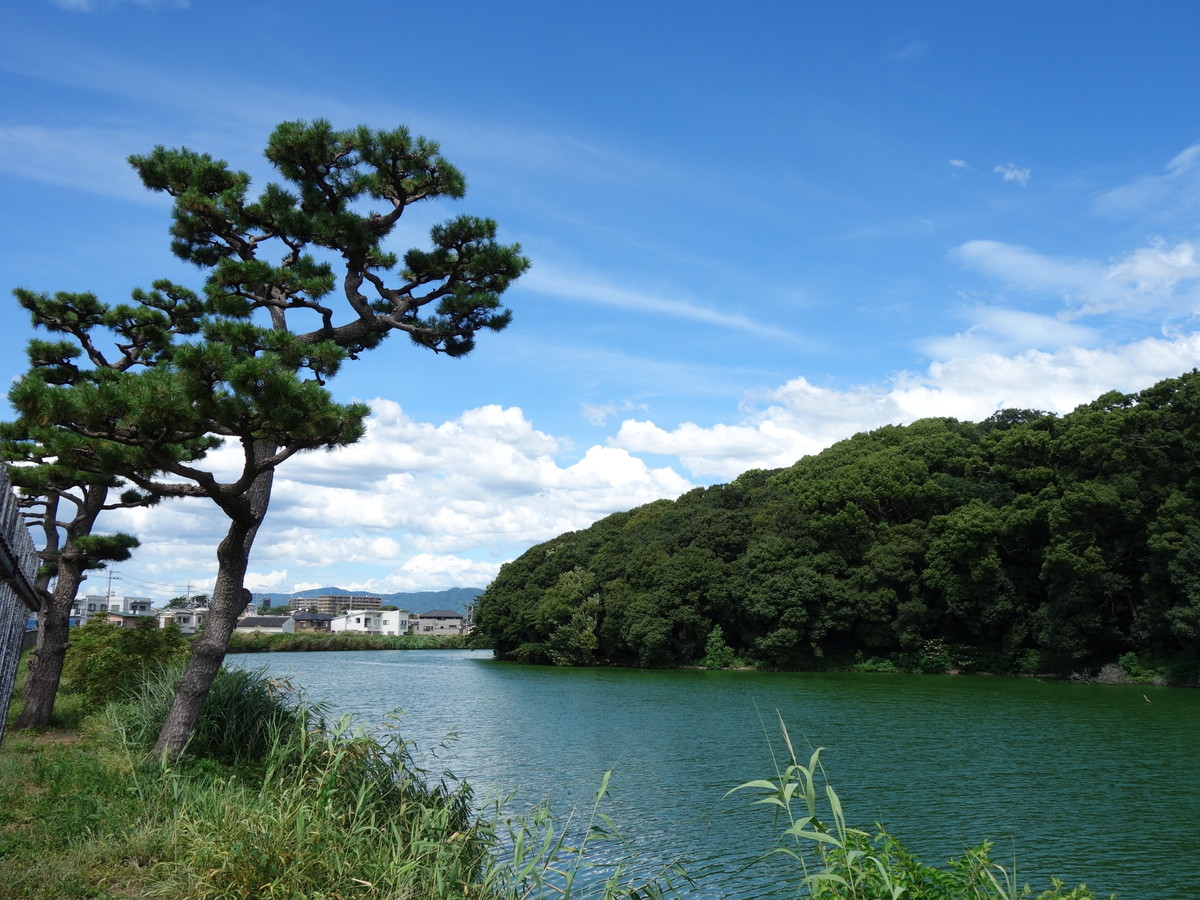 岡ミサンザイ古墳