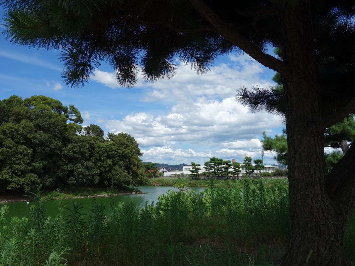 岡ミサンザイ古墳