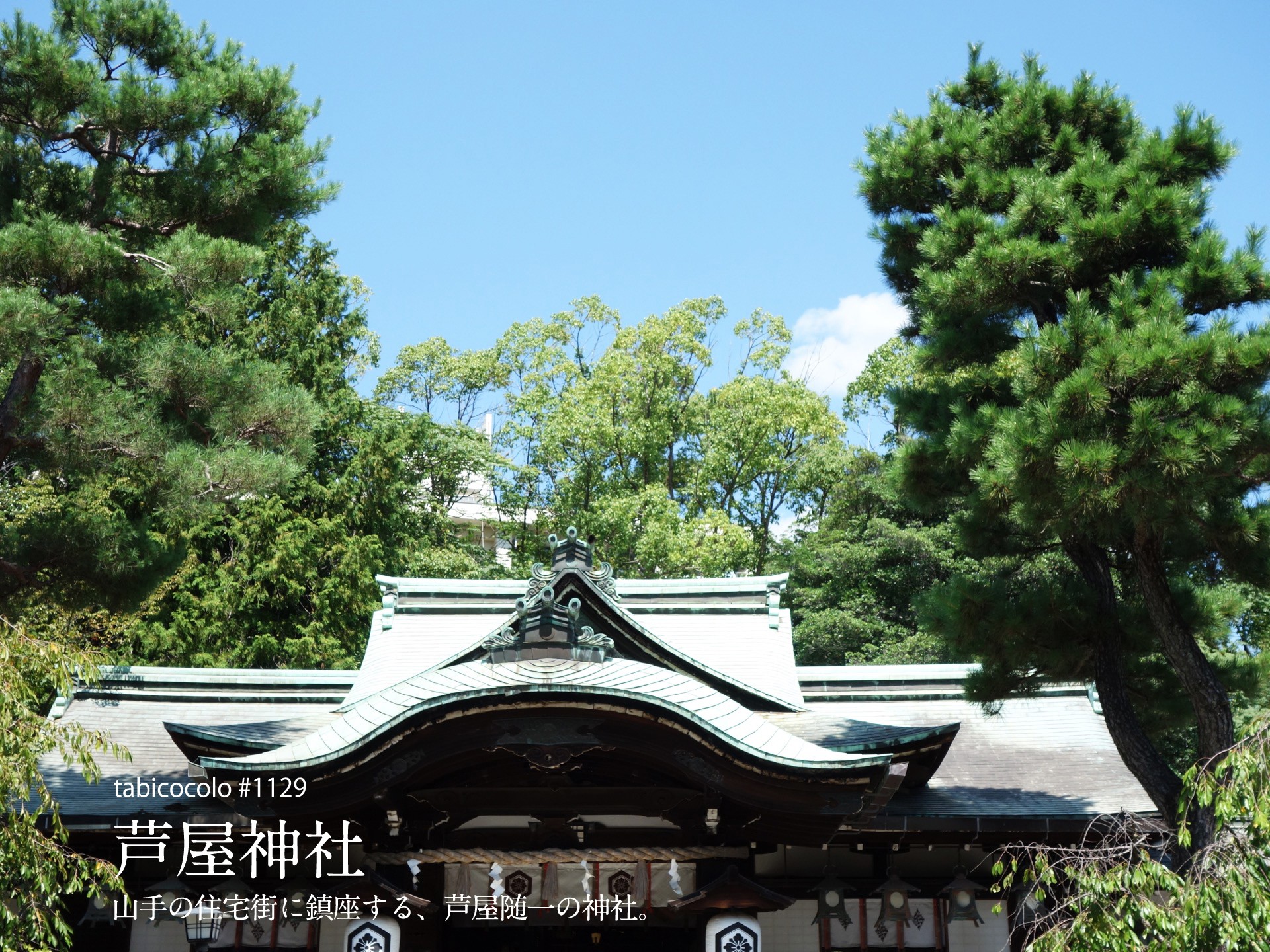 芦屋神社