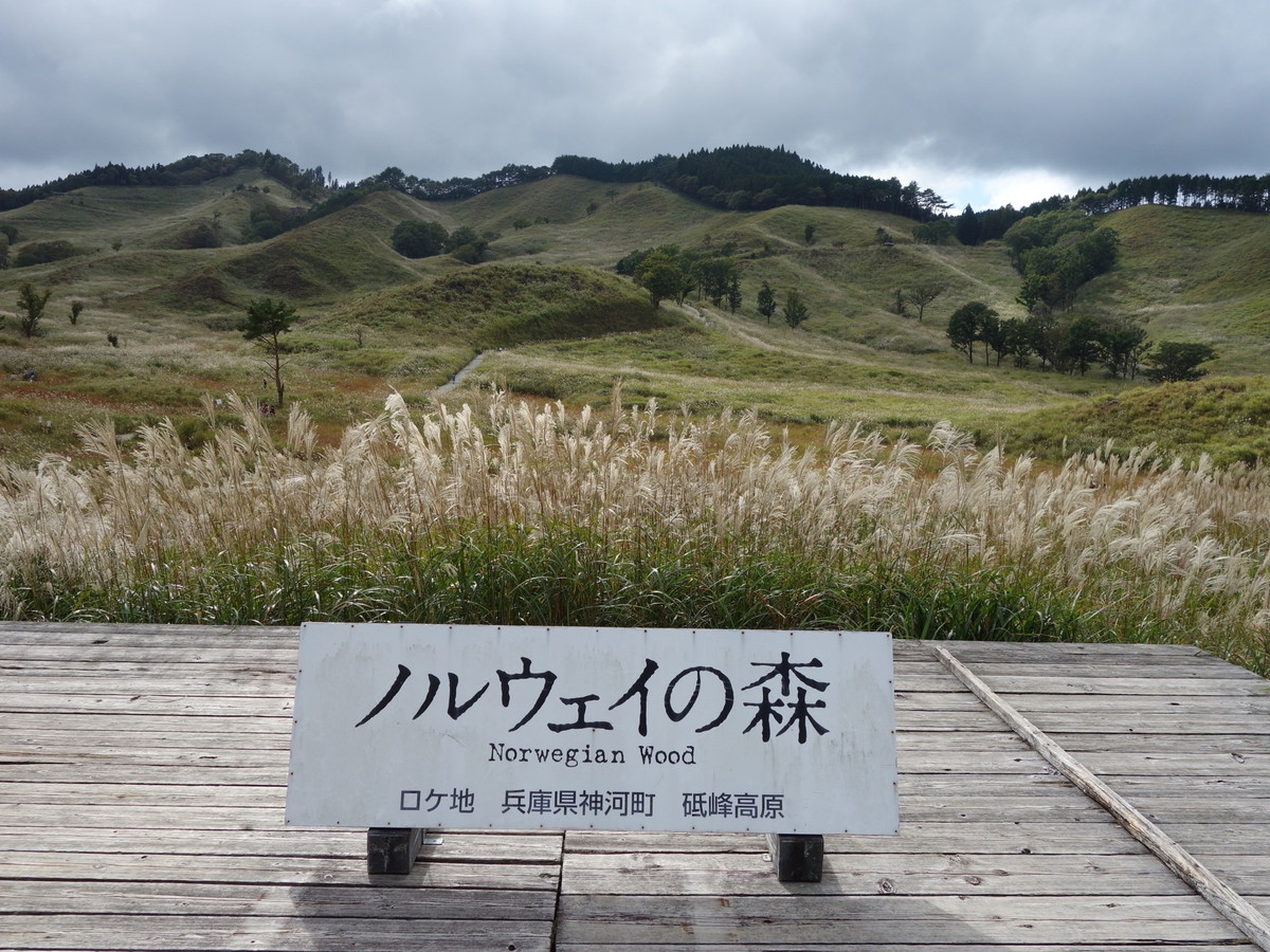 砥峰高原