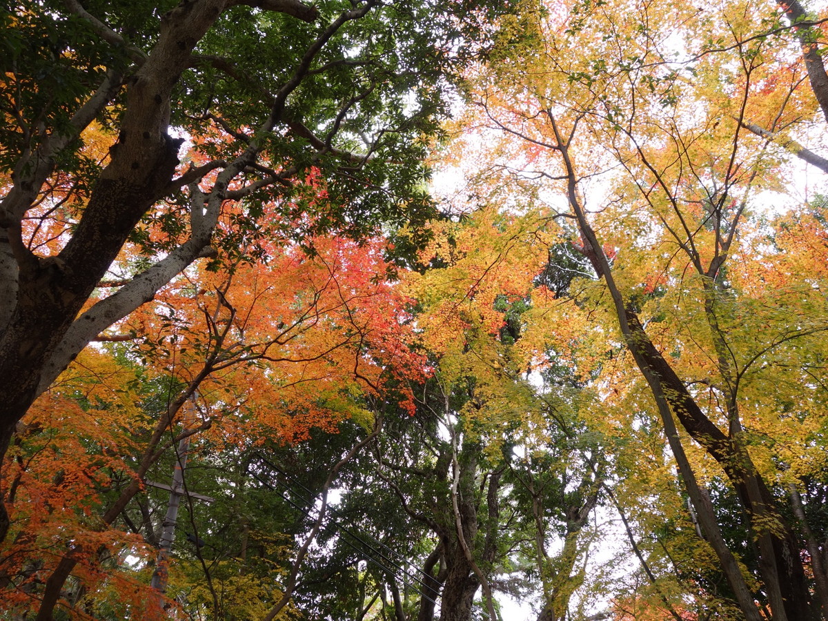 保久良神社