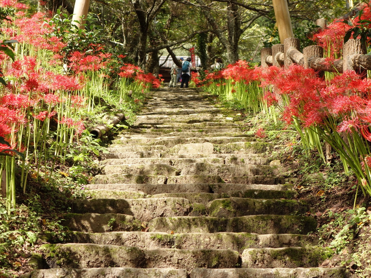 佛隆寺