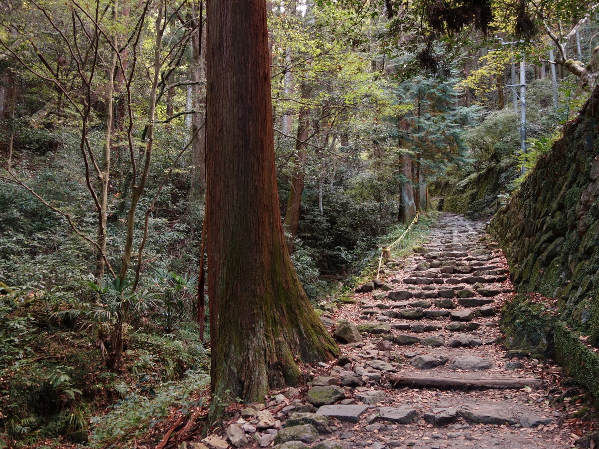 施福寺