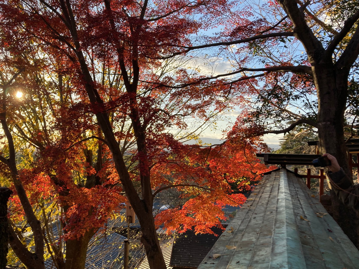 瑜伽神社