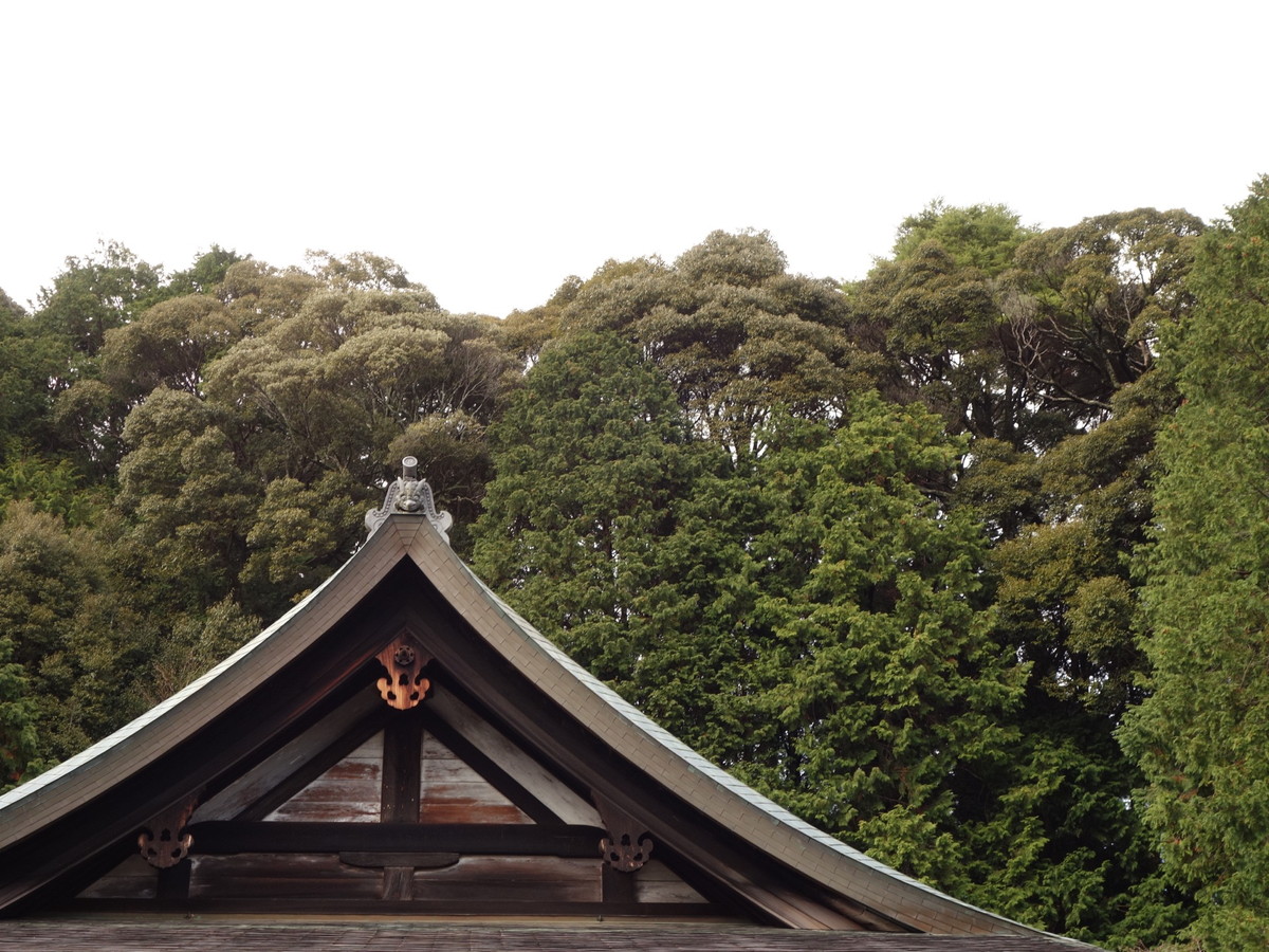 円成寺