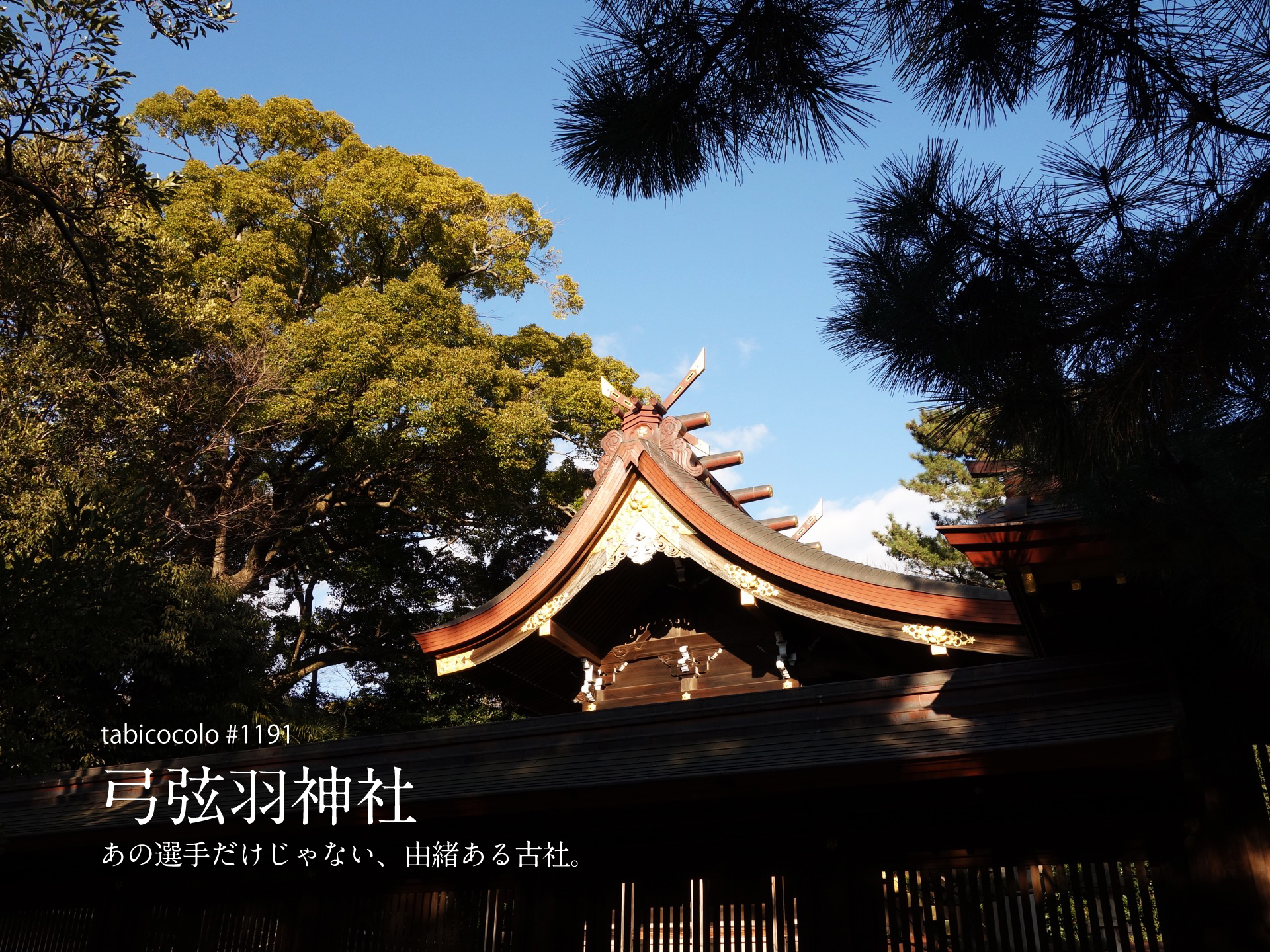 弓弦羽神社