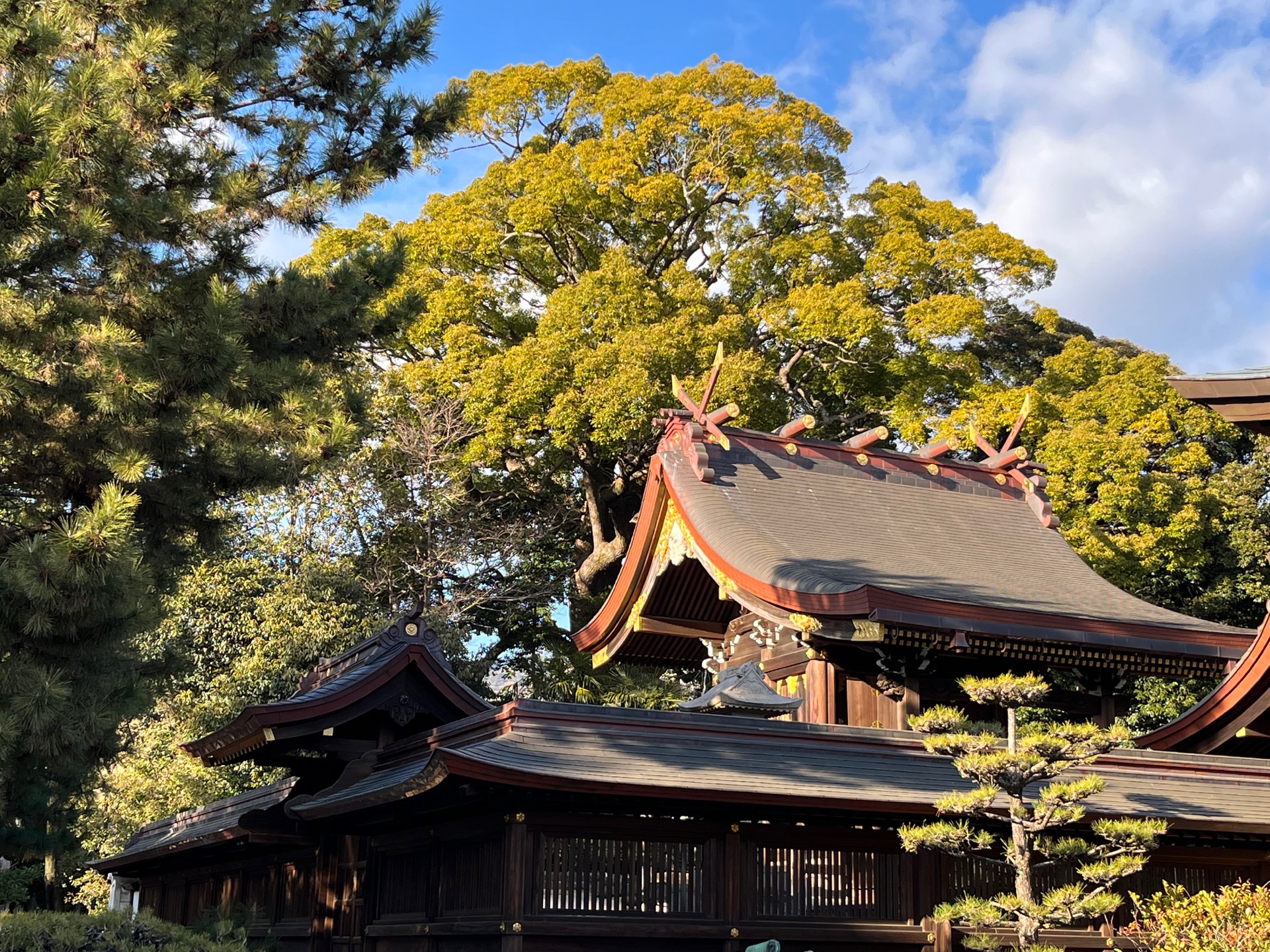 弓弦羽神社