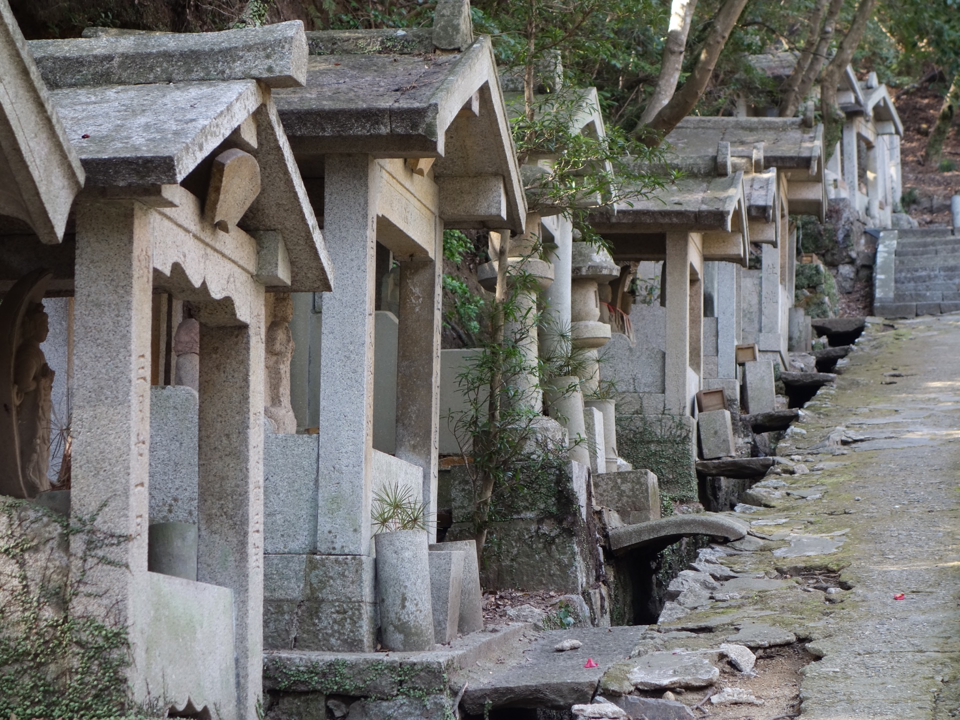 大龍寺