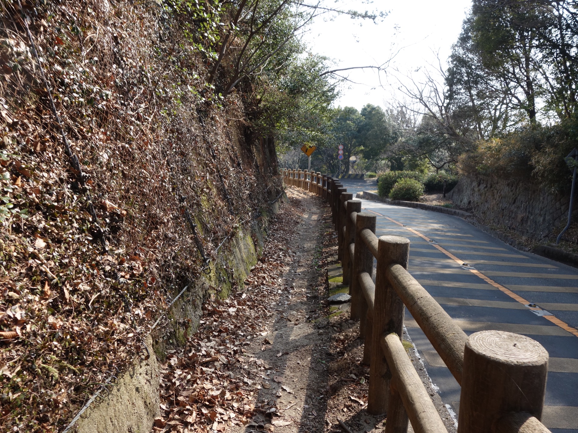 市章山・錨山