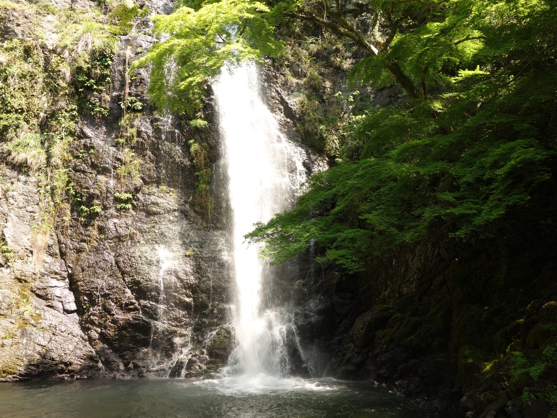 箕面の滝