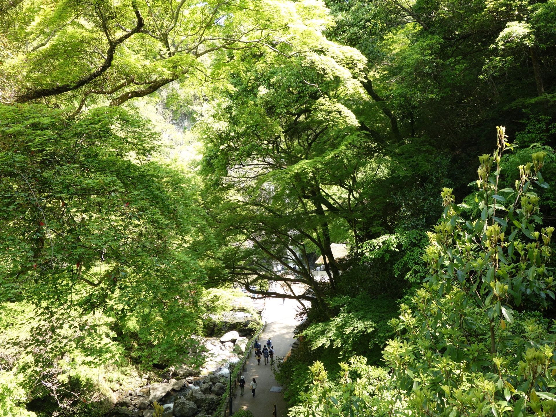 箕面の滝