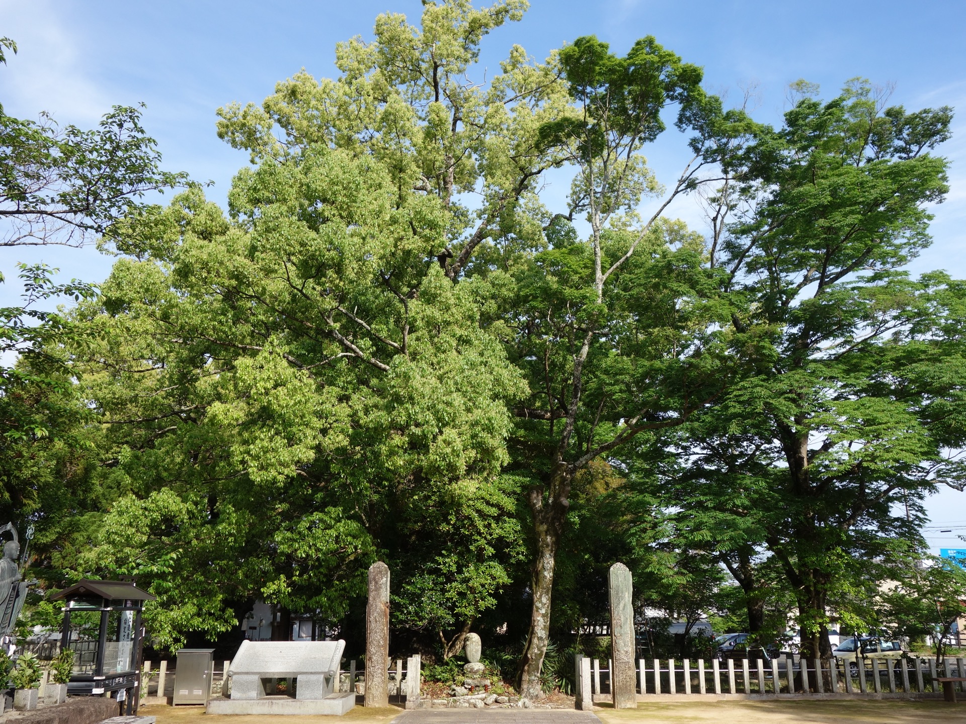 補陀洛山寺