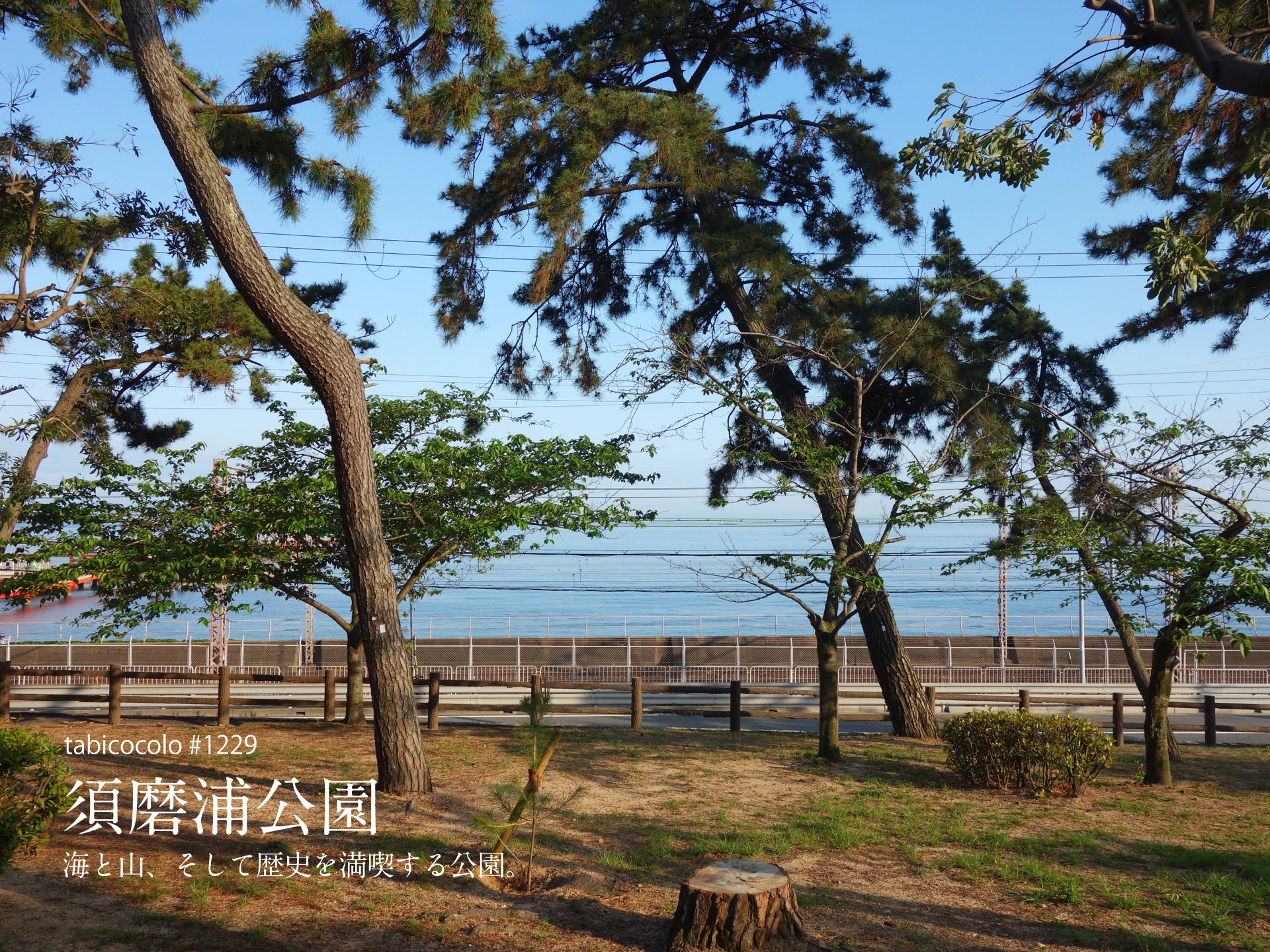 須磨浦公園