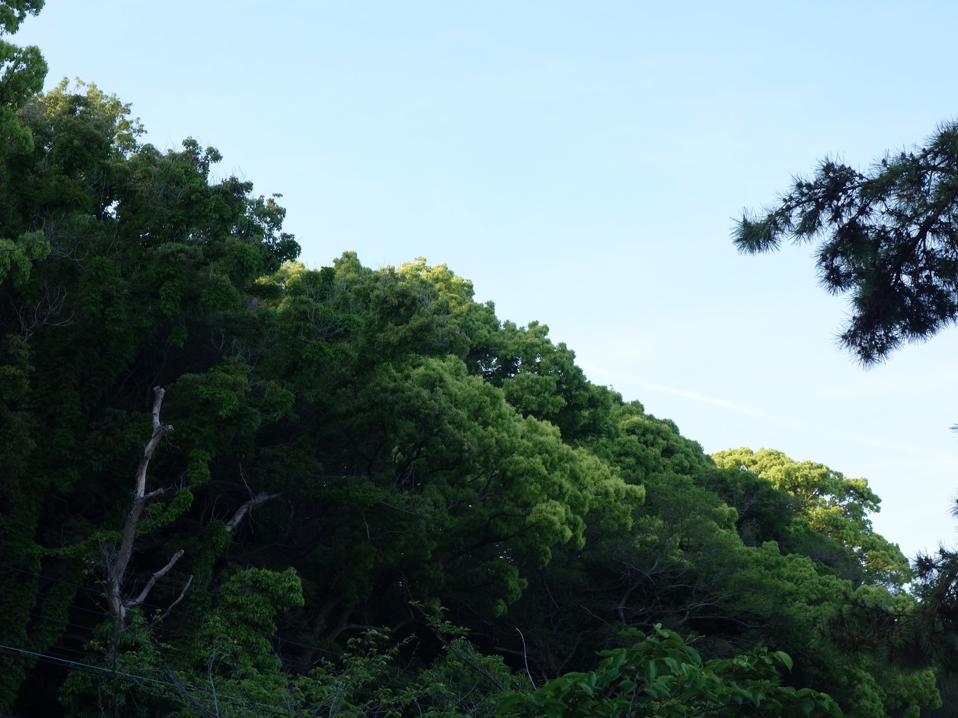 須磨浦公園