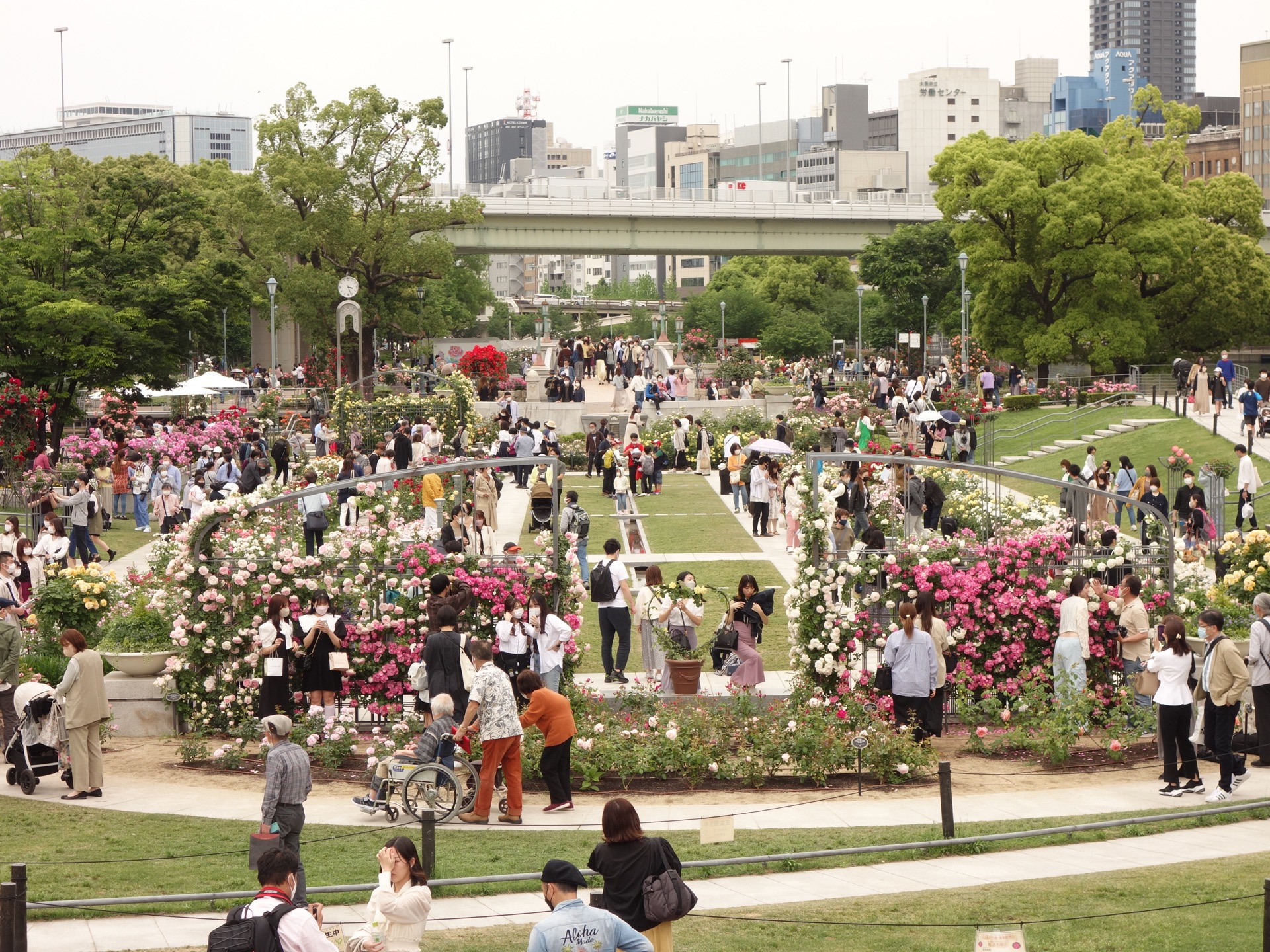 中之島バラ園