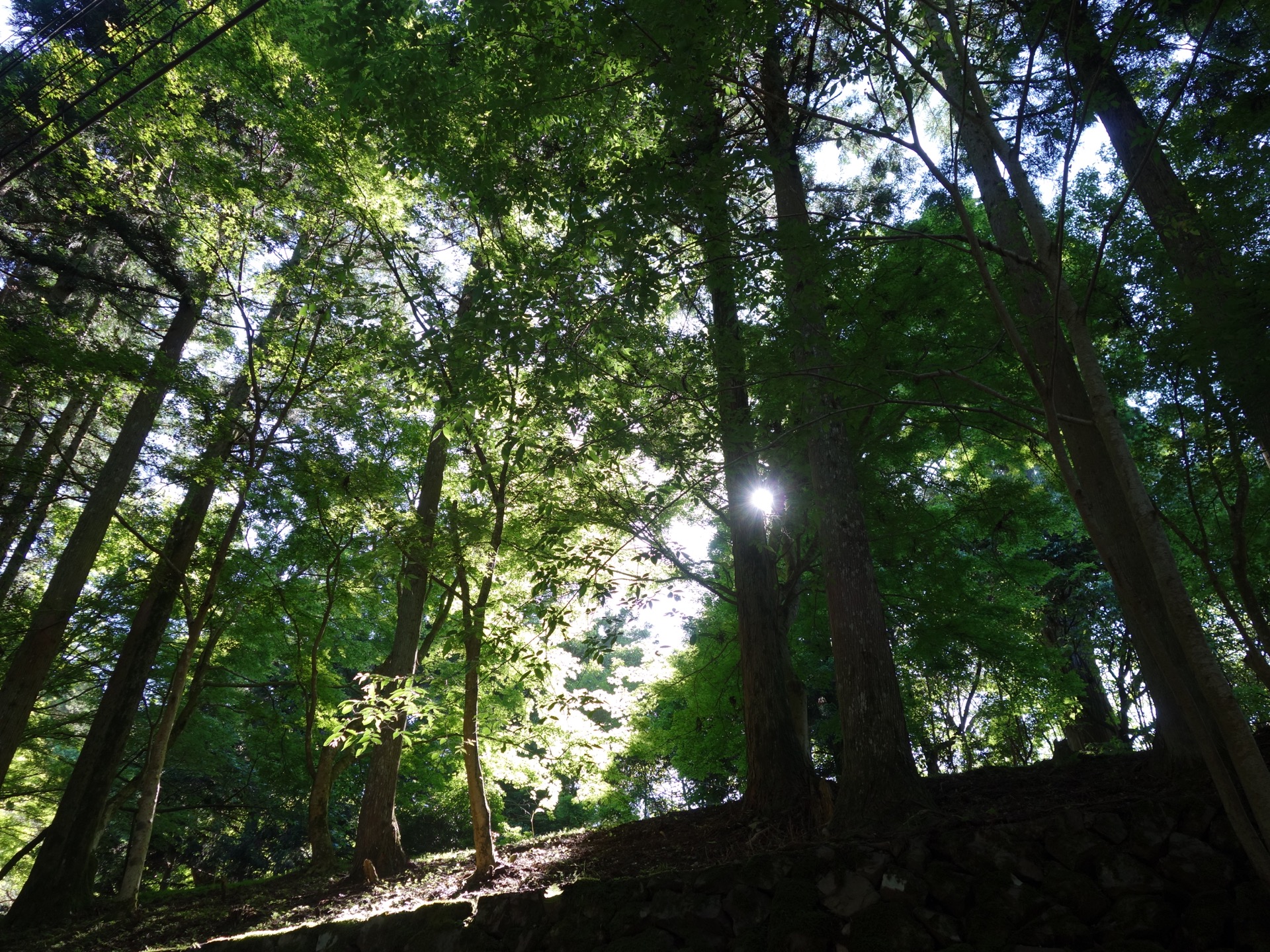 比叡山延暦寺・西塔