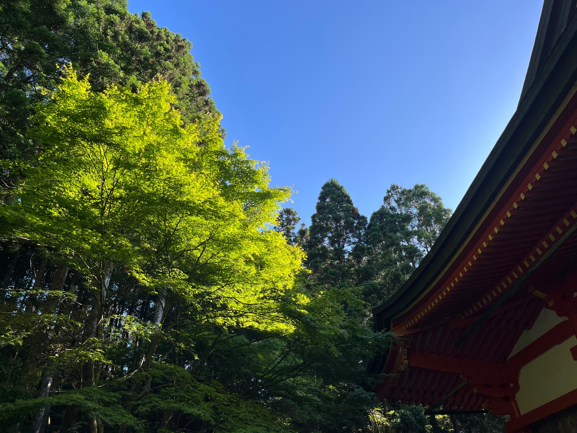 比叡山延暦寺・横川