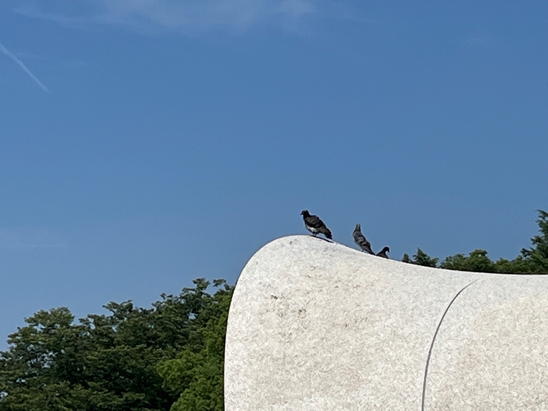 広島平和記念公園