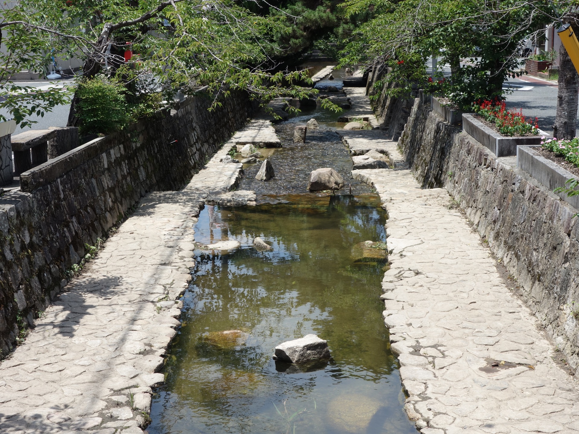 紺屋川美観地区