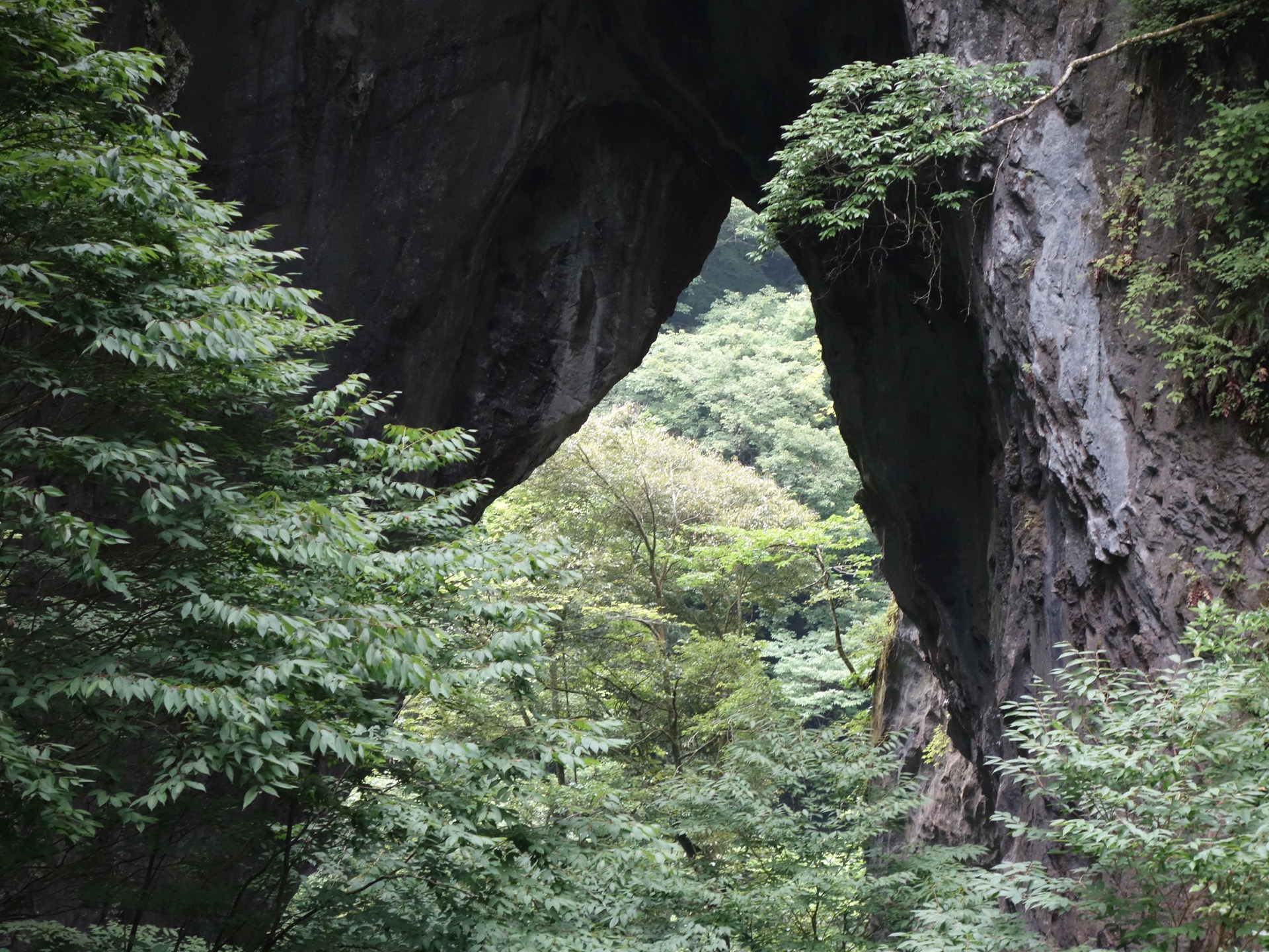 羅生門