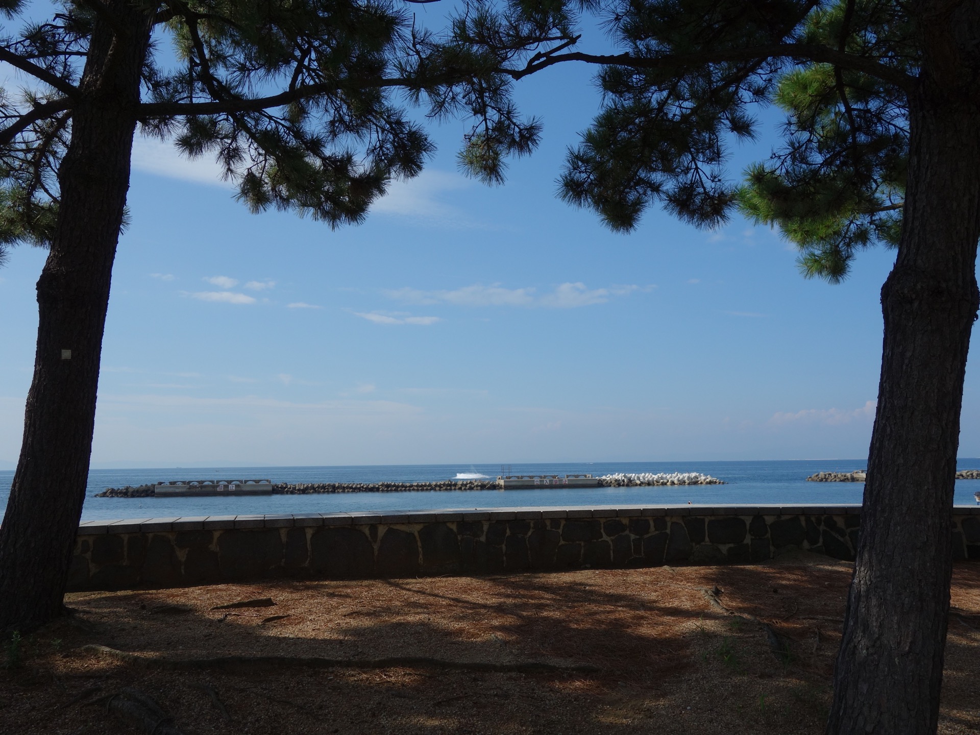 箱作海水浴場(ぴちぴちビーチ)