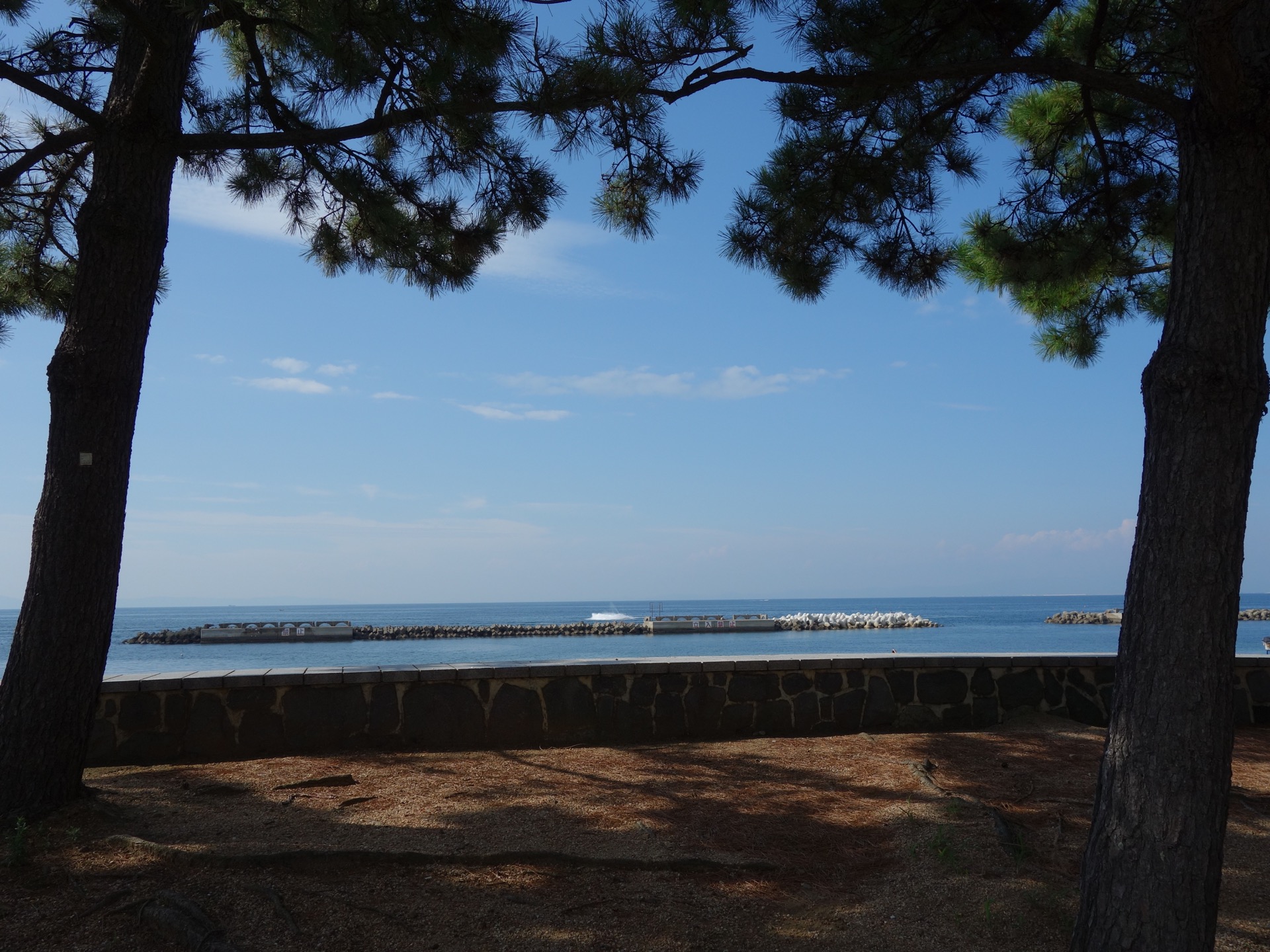 箱作海水浴場（ぴちぴちビーチ）